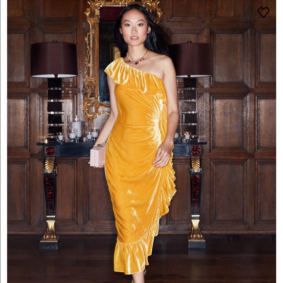 Mestiza New York Flamenco Velvet Ruffle Dress - Picture 4 of 8